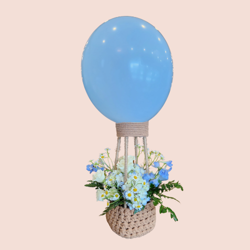 Hot Air Ballooning