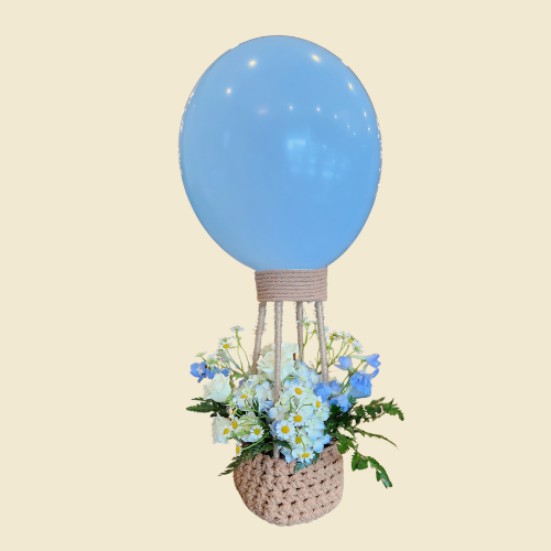 Hot Air Ballooning